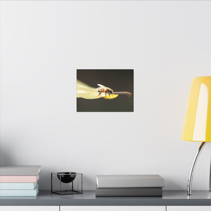Honey Bee Glow Wall Art Canvas