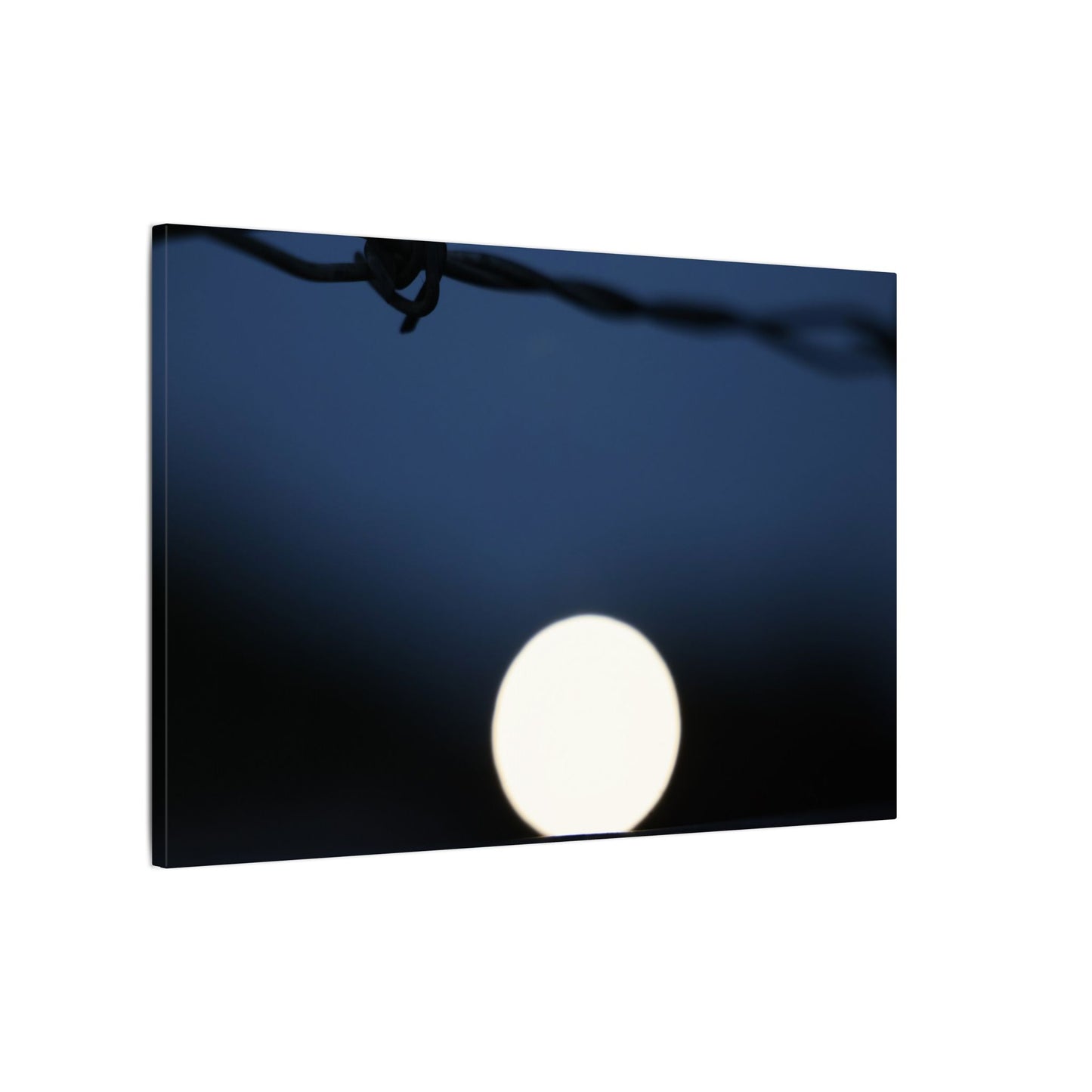 Werewolf Wall Art Canvas