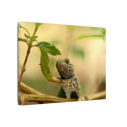 Lizard King Wall Art Canvas