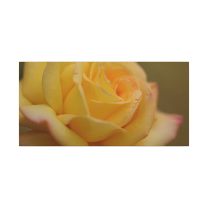 Yellow Delight Rose Wall Art Canvas