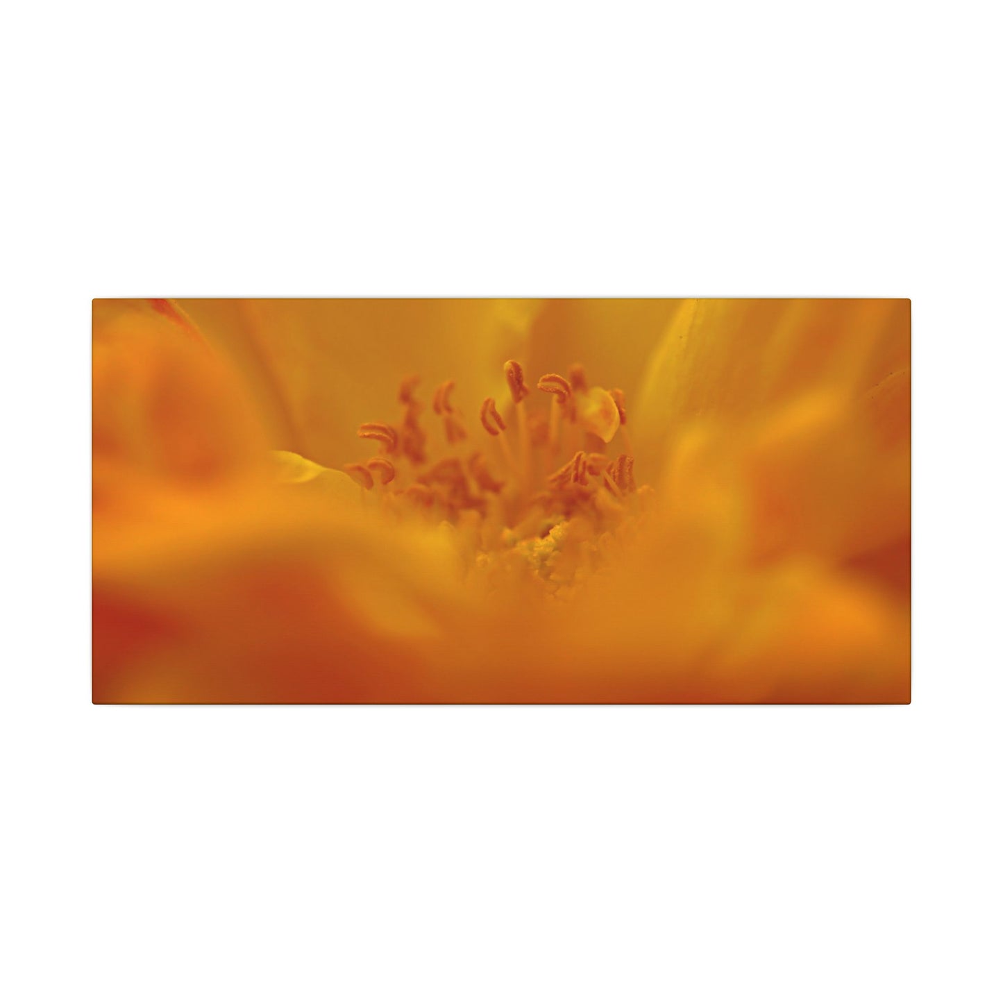 Hidden Gem Rose Wall Art Canvas