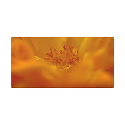 Hidden Gem Rose Wall Art Canvas