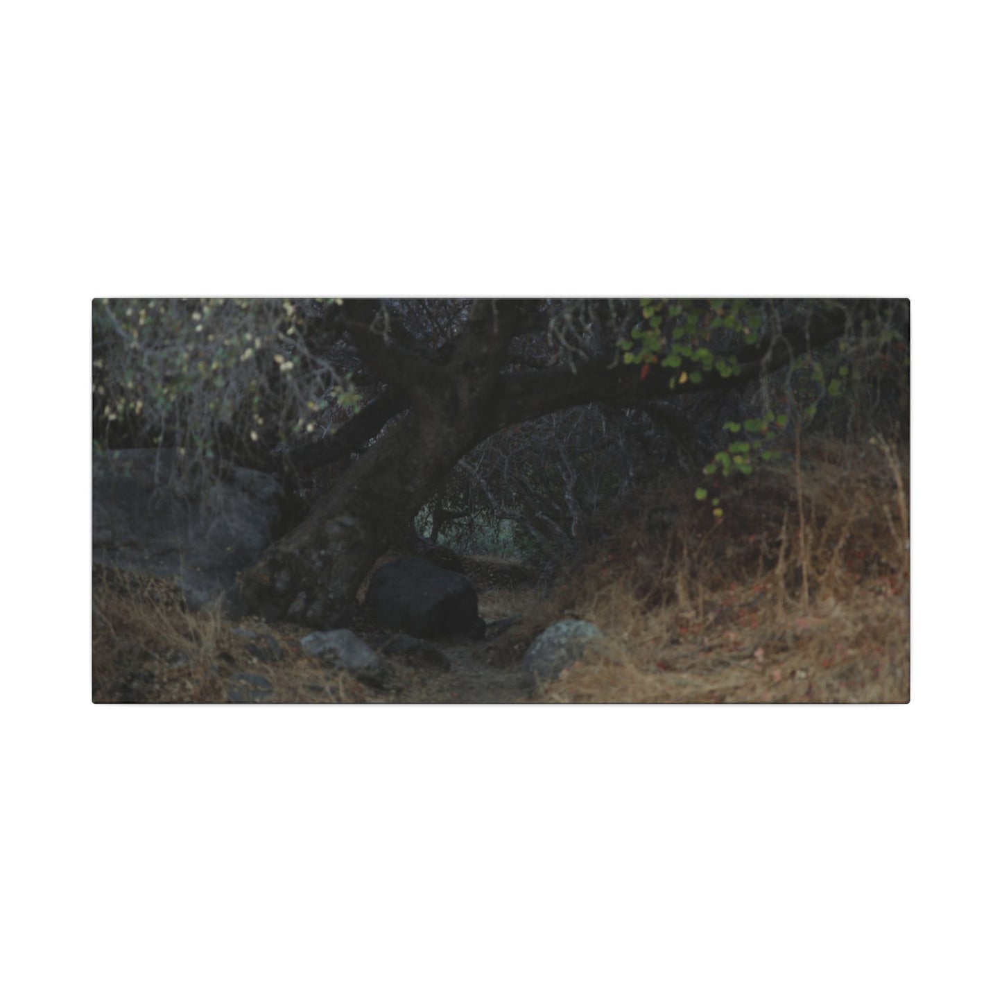 Hidden Path Wall Art Canvas