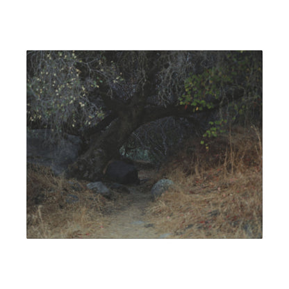 Hidden Path Wall Art Canvas