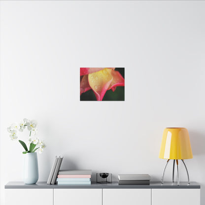Delicate Rain Rose Wall Art Canvas