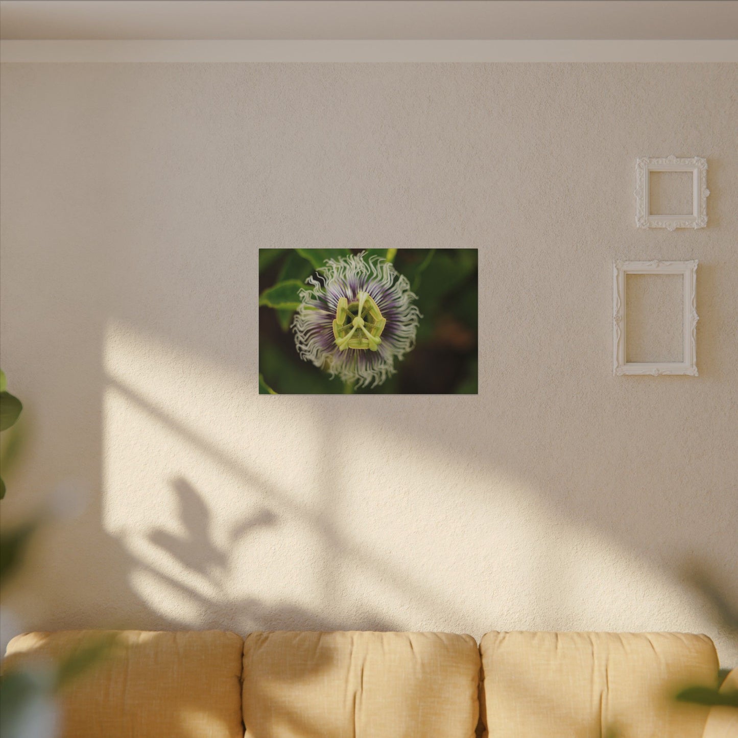 Passiflora Passion Flower Wall Art Canvas