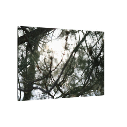 Of The Trees Wall Art Canvas