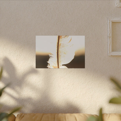 Feather in the Sun Wall Art Canvas
