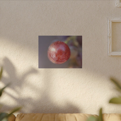 The Grape That Stood Alone Wall Art Canvas