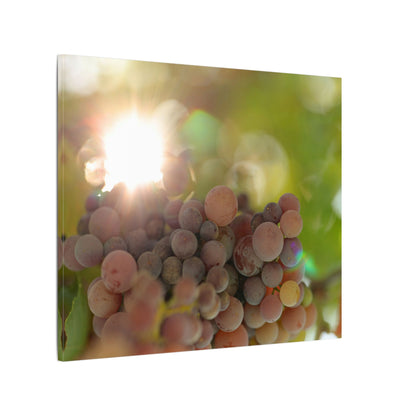 Grape Shine Wall Art Canvas