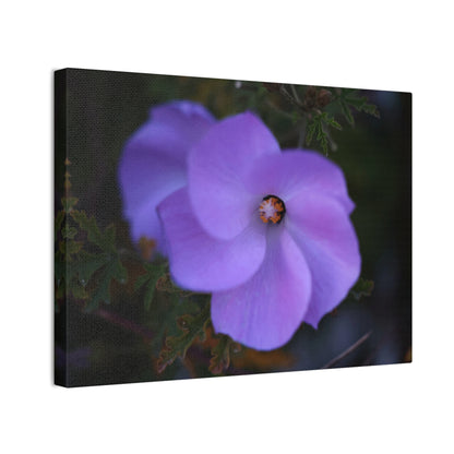 Violet Twist Wall Art Canvas