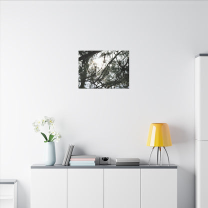 Of The Trees Wall Art Canvas