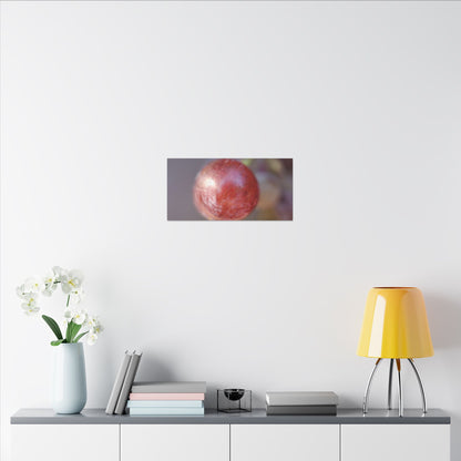 The Grape That Stood Alone Wall Art Canvas
