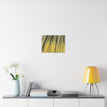 Through the Pine Needles Wall Art Canvas