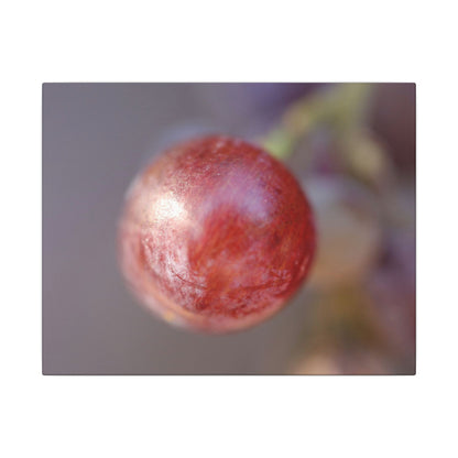 The Grape That Stood Alone Wall Art Canvas