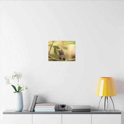 Lizard King Wall Art Canvas