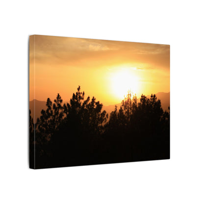 Angeles Forest Wall Art Canvas