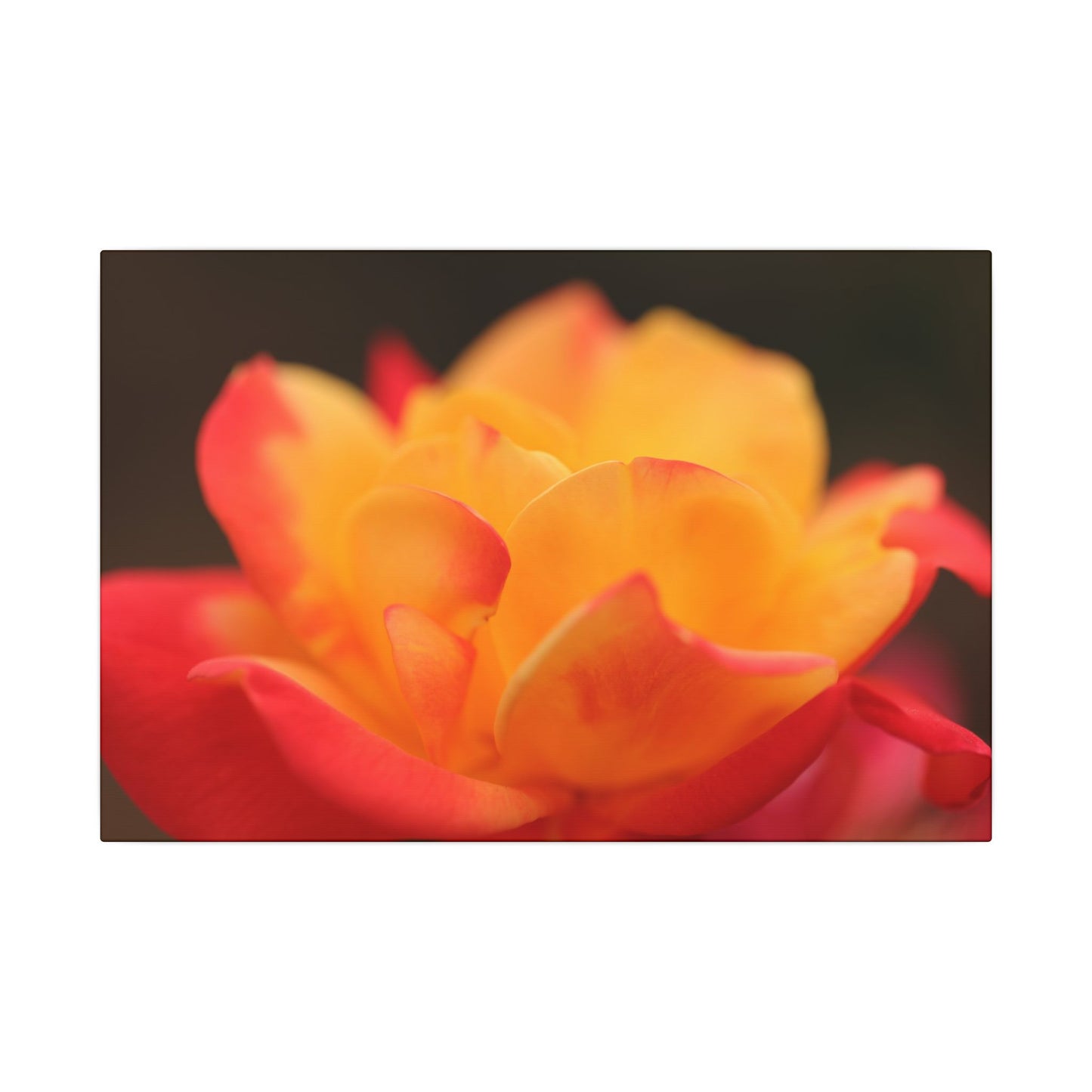 Electric Bloom Wall Art Canvas