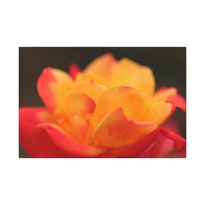 Electric Bloom Wall Art Canvas