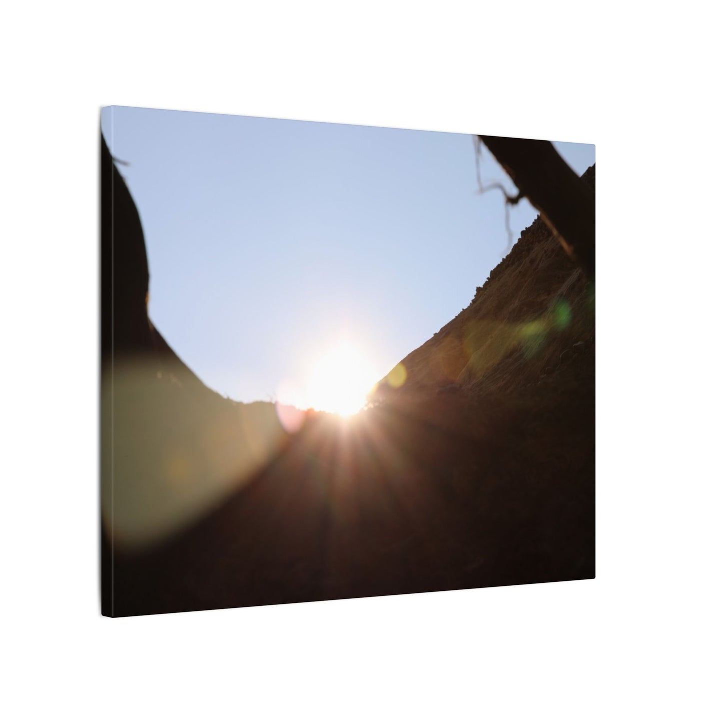 Through the Looking Glass Wall Art Canvas