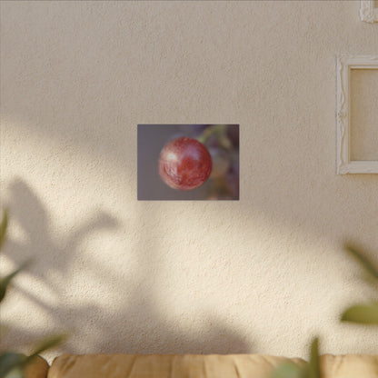 The Grape That Stood Alone Wall Art Canvas