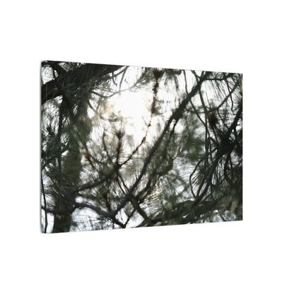 Of The Trees Wall Art Canvas