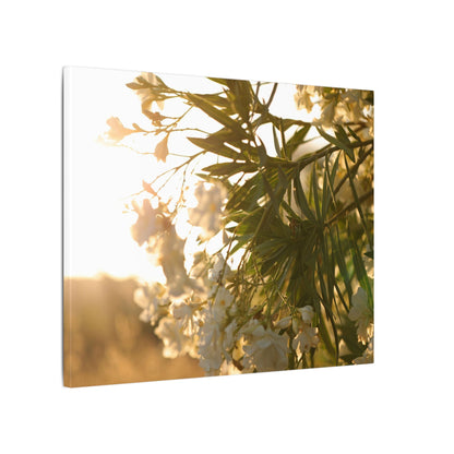 Nerium Oleander Rosebay Wall Art Canvas