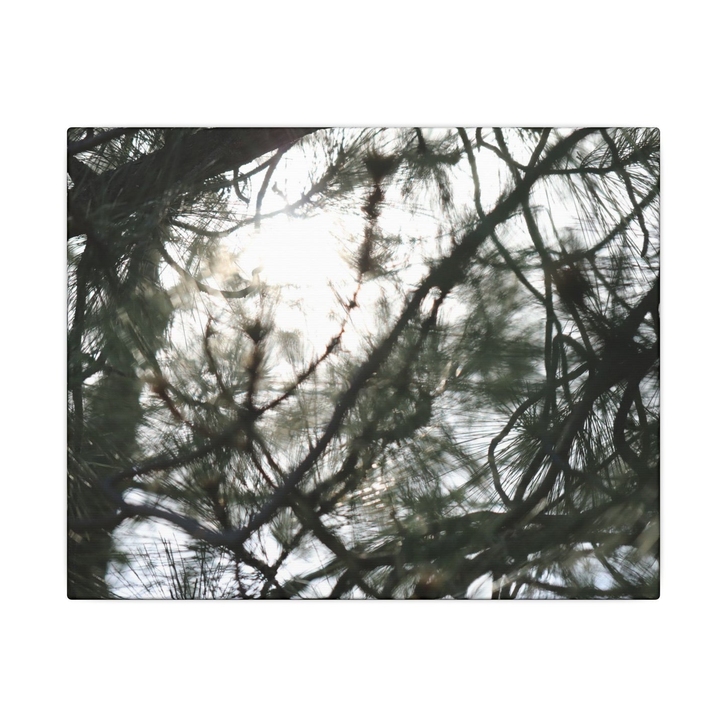 Of The Trees Wall Art Canvas