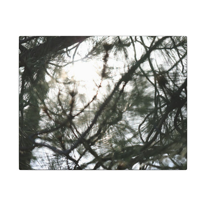 Of The Trees Wall Art Canvas
