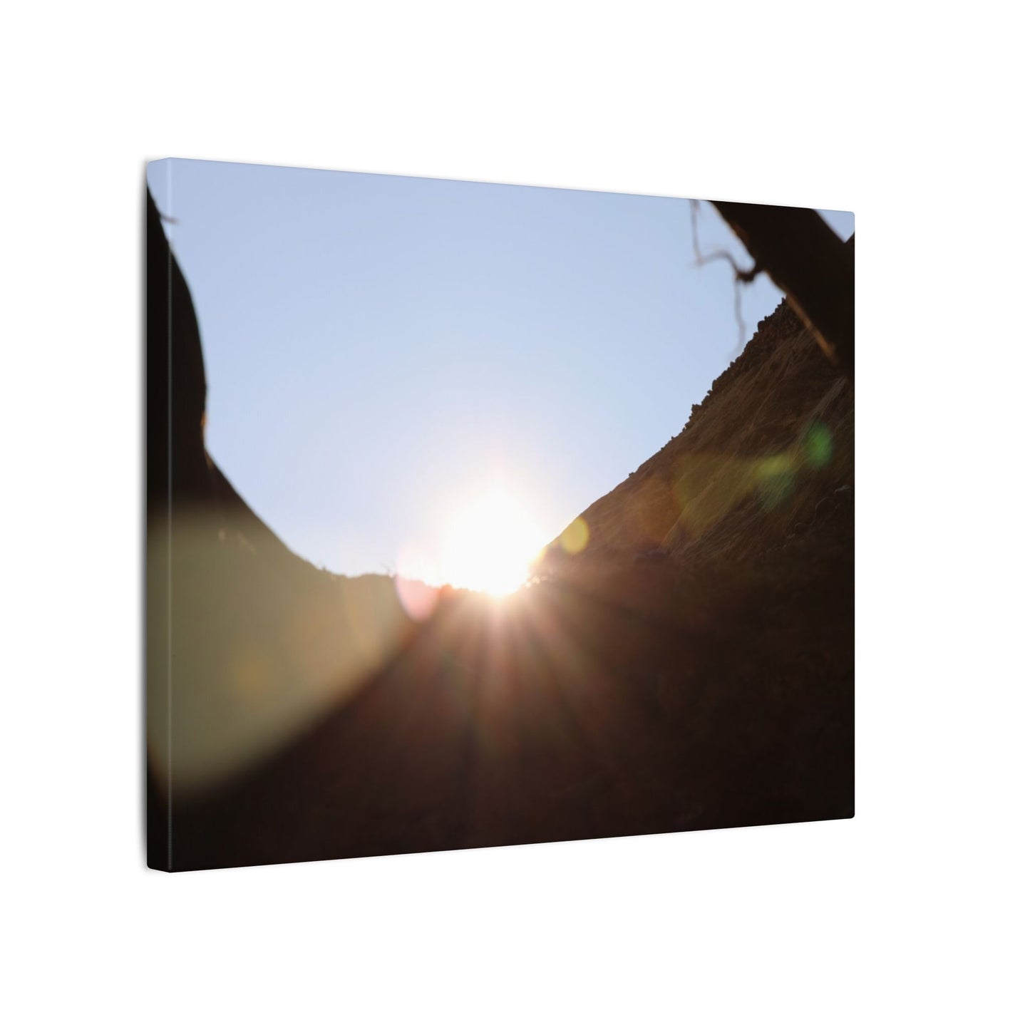 Through the Looking Glass Wall Art Canvas