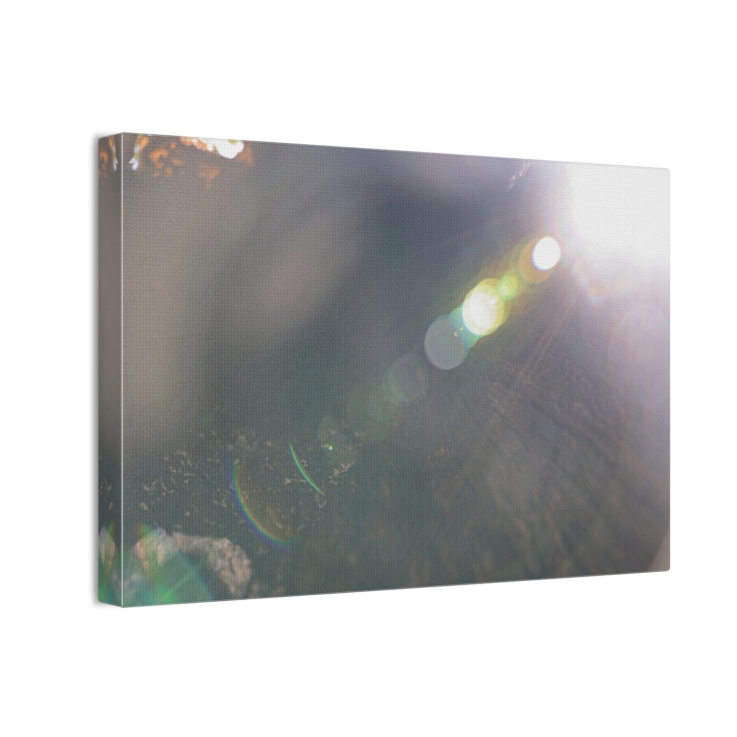 Fractal Spectrum of Light Wall Art Canvas