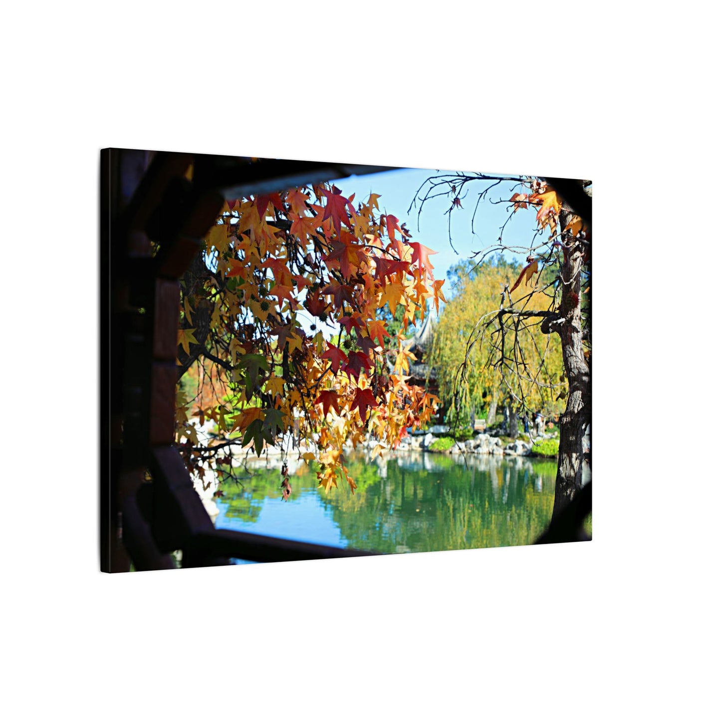 Fall Through the Window Wall Art Canvas