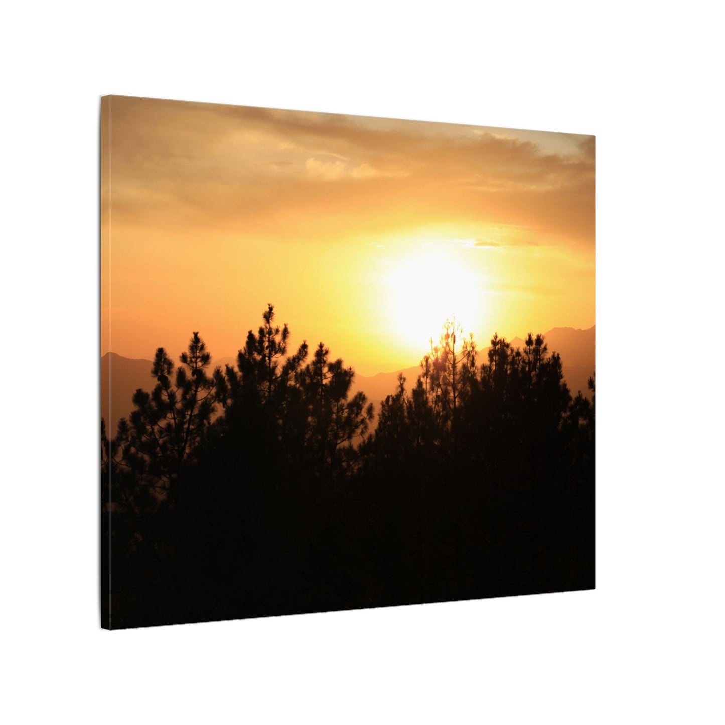 Angeles Forest Wall Art Canvas