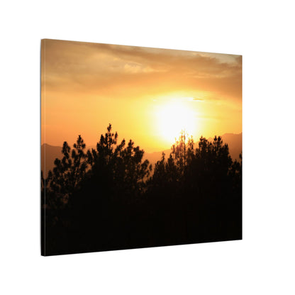 Angeles Forest Wall Art Canvas
