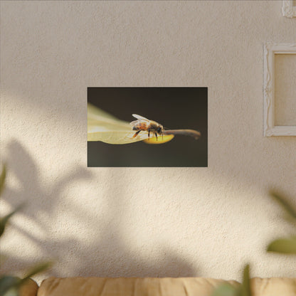 Honey Bee Glow Wall Art Canvas