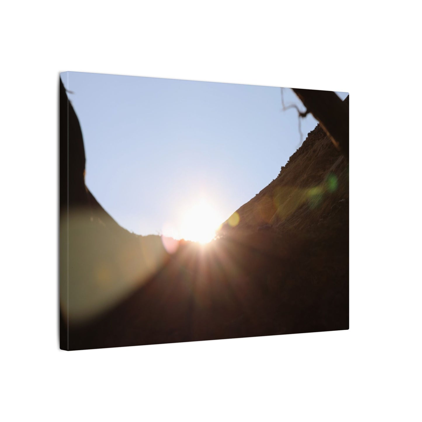 Through the Looking Glass Wall Art Canvas