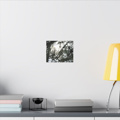 Of The Trees Wall Art Canvas