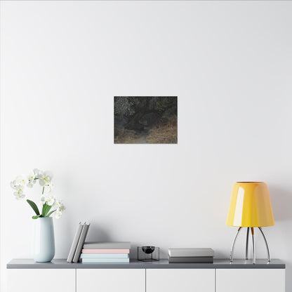 Hidden Path Wall Art Canvas