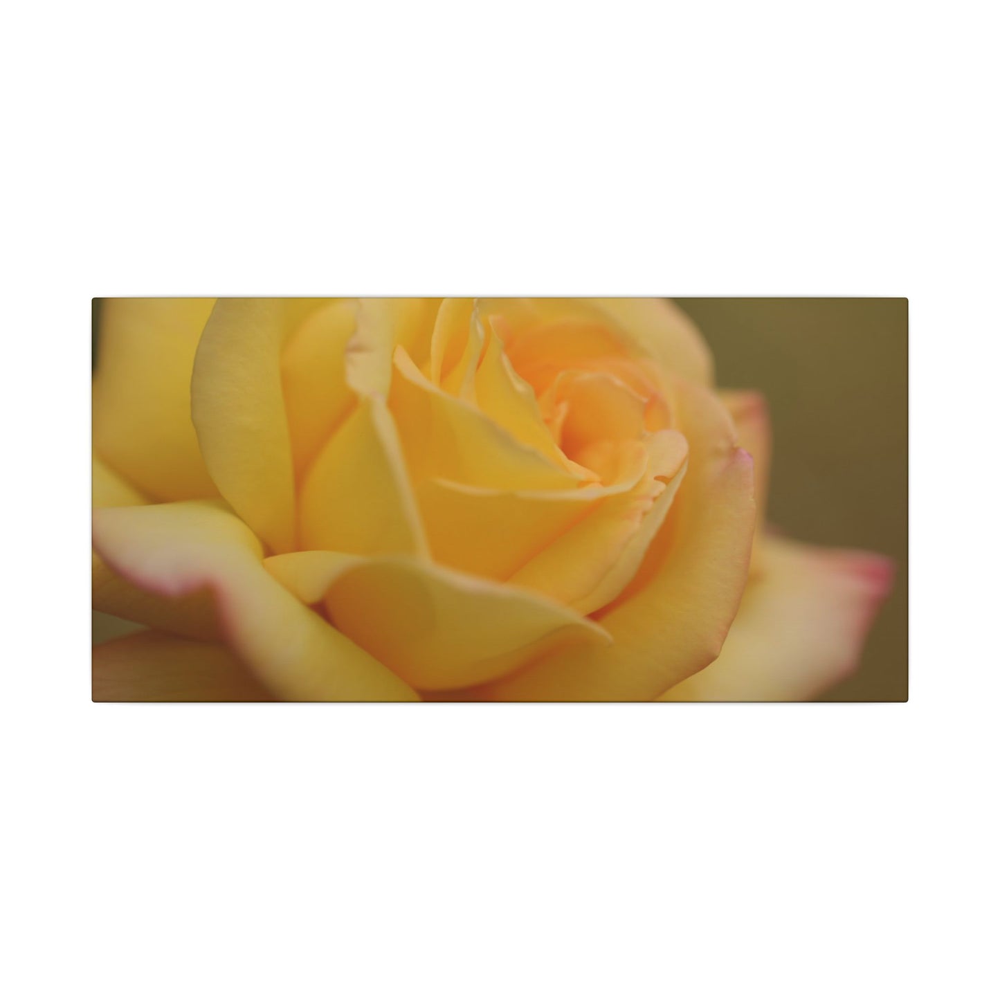 Yellow Delight Rose Wall Art Canvas