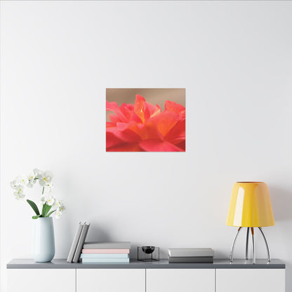 Color Bloom Rose Wall Art Canvas