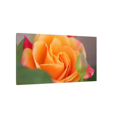 Paradise Rose Wall Art Canvas