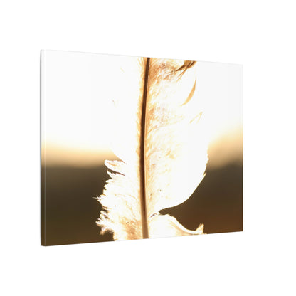 Feather in the Sun Wall Art Canvas