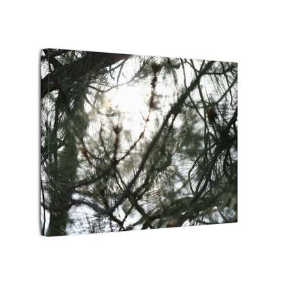 Of The Trees Wall Art Canvas