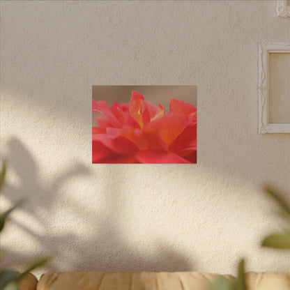 Color Bloom Rose Wall Art Canvas