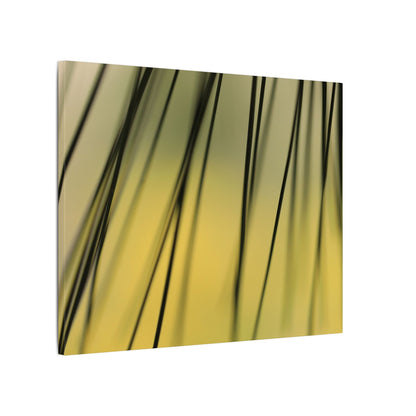 Through the Pine Needles Wall Art Canvas