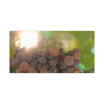 Grape Shine Wall Art Canvas