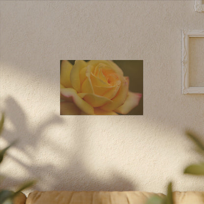 Yellow Delight Rose Wall Art Canvas