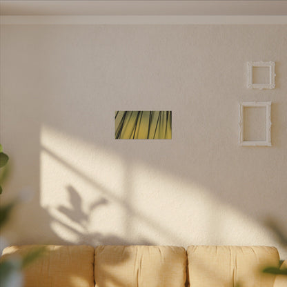 Through the Pine Needles Wall Art Canvas