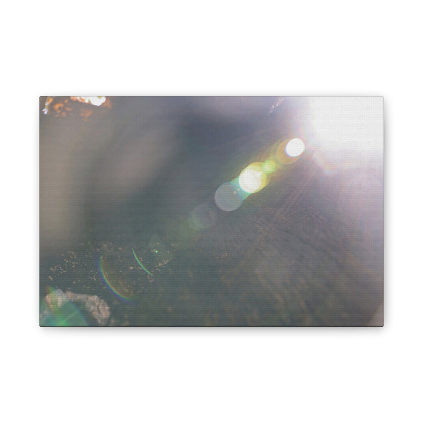 Fractal Spectrum of Light Wall Art Canvas