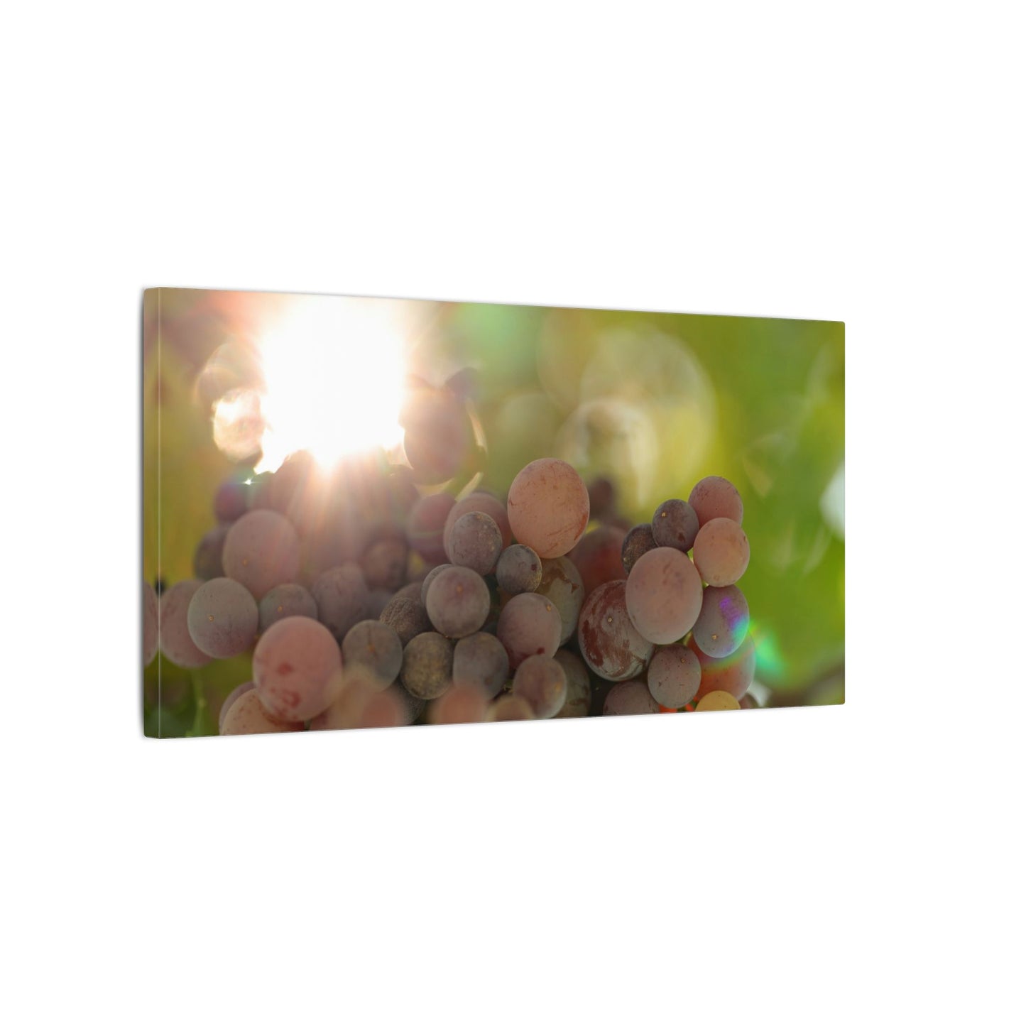 Grape Shine Wall Art Canvas